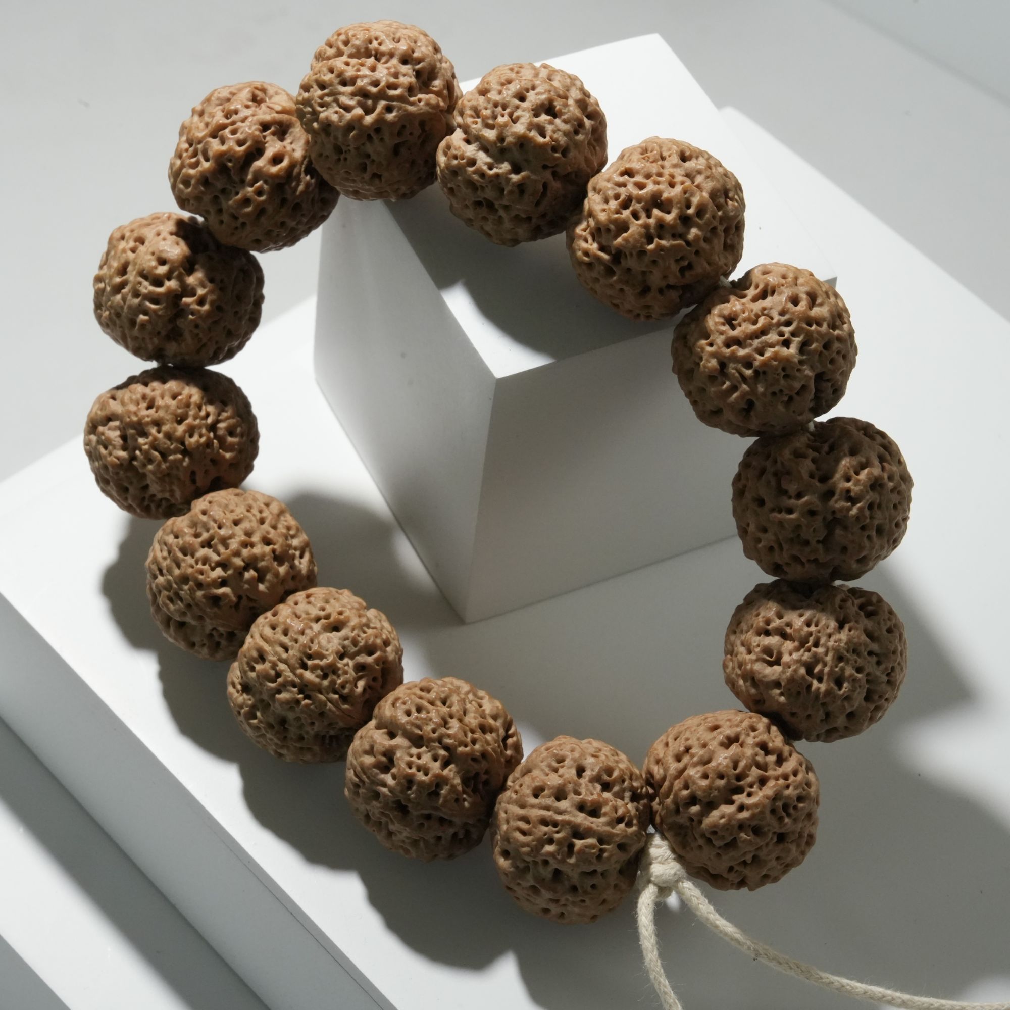 『尊天下』五星老树尼泊尔大金刚菩提手串高密度