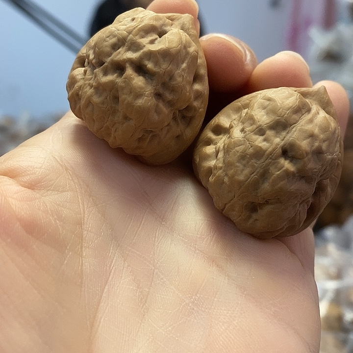 把件文玩核桃36.5古蝉