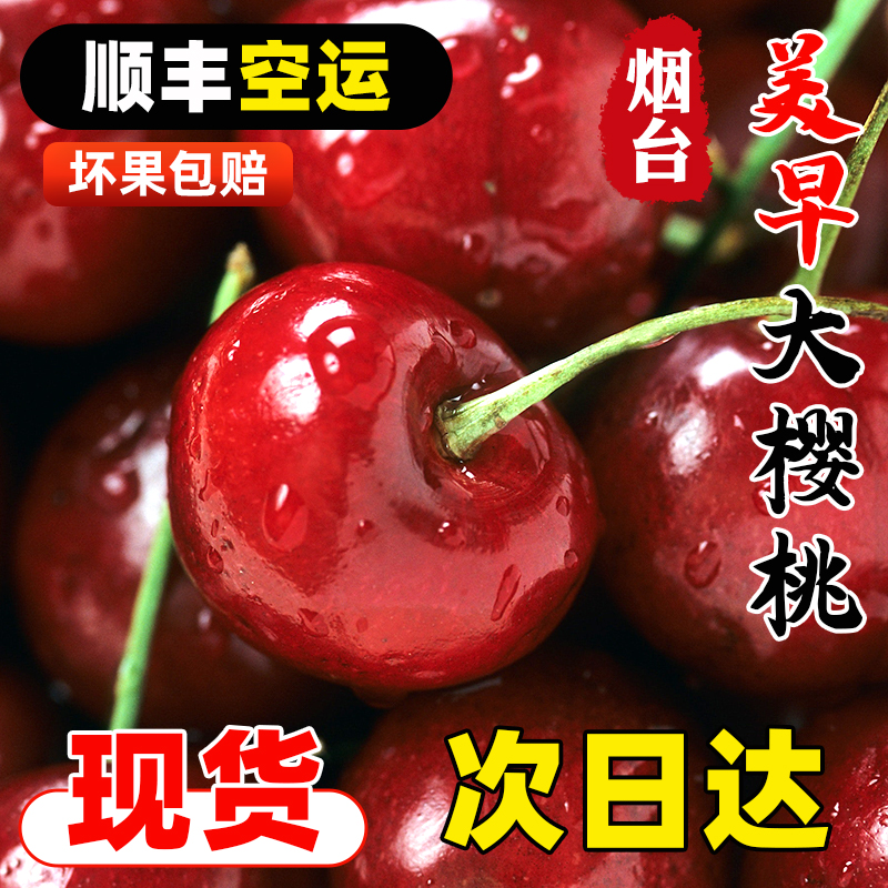 【顺丰空运】山东美早大樱桃新鲜采摘头茬应季皮薄肉厚核小多汁1-3斤装XL-4J美早山东省