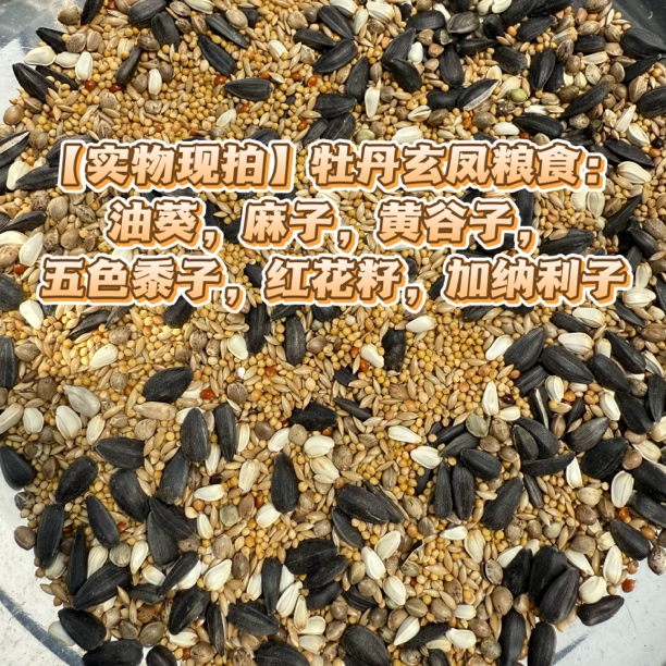 【牡丹玄凤】鹦鹉混合鸟粮增肥牡丹玄凤文鸟优质精品谷子混合营养粮