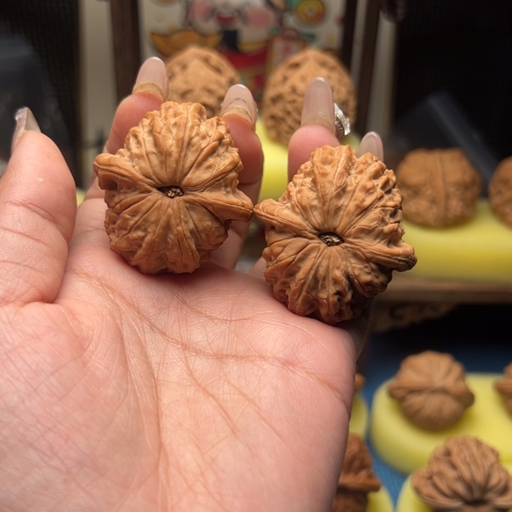 木质39尺寸血麒麟全品