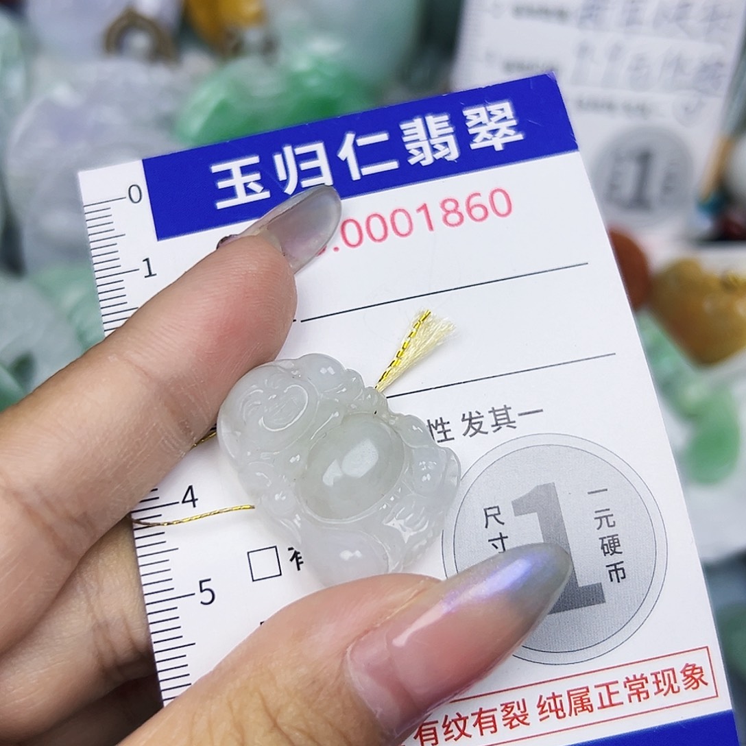 翡翠未镶嵌吊坠(不含链)111