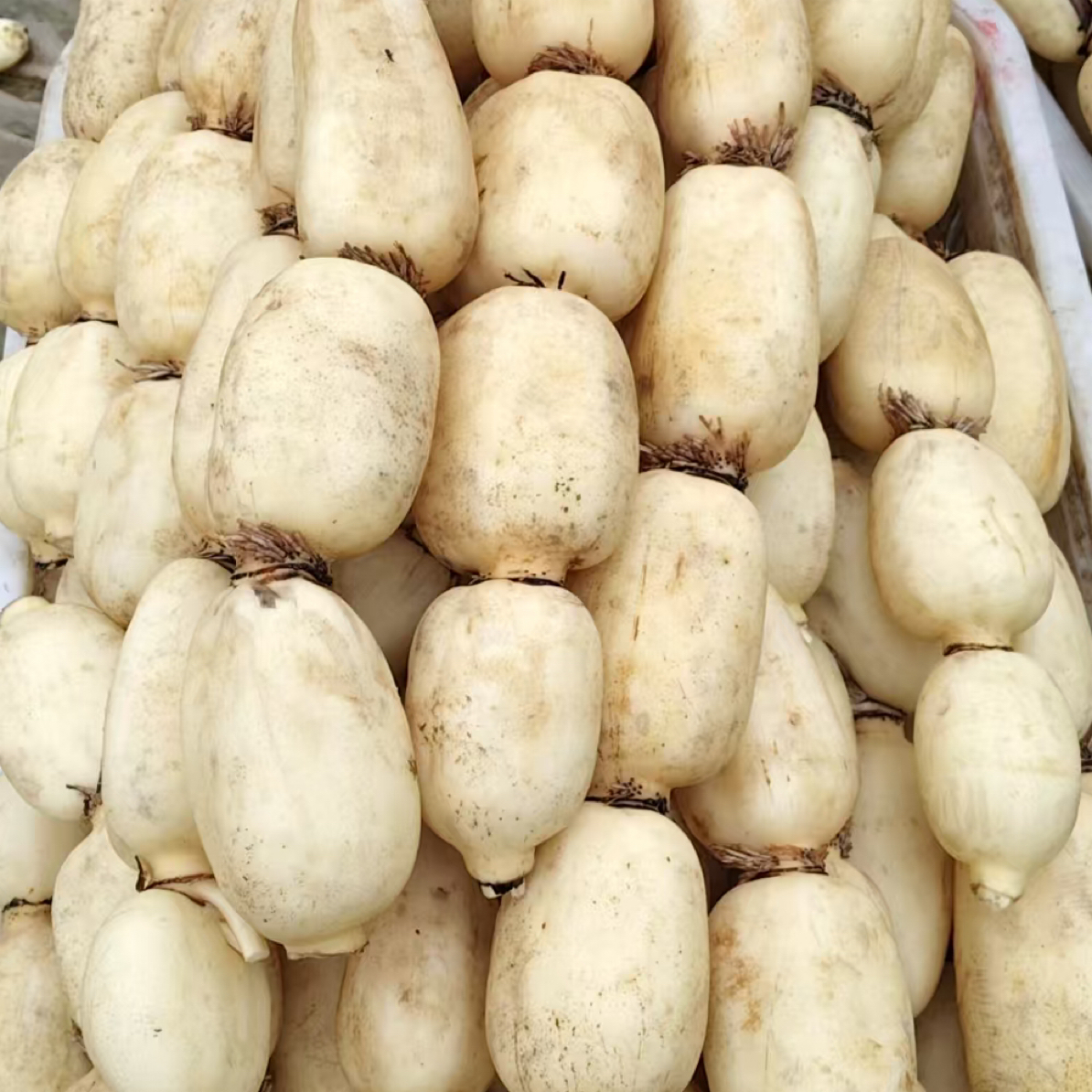 新鲜土豆莲藕新鲜现挖龙眼