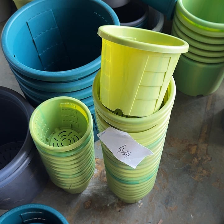 编号484串色6个无托