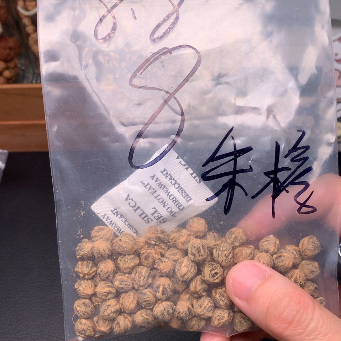 朱***生吊坠柏香籽/百香籽