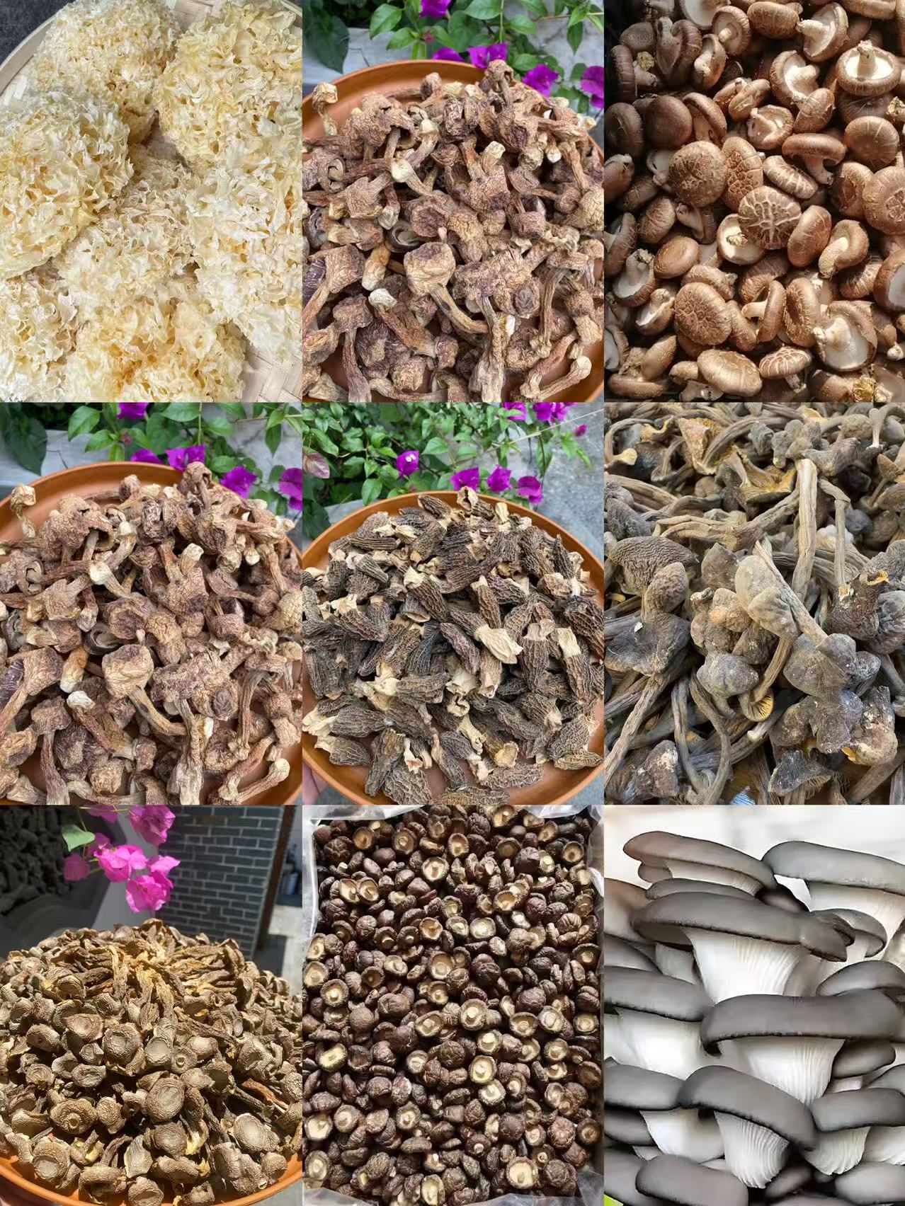 菌子CX0915 重量33克可搭配菌类