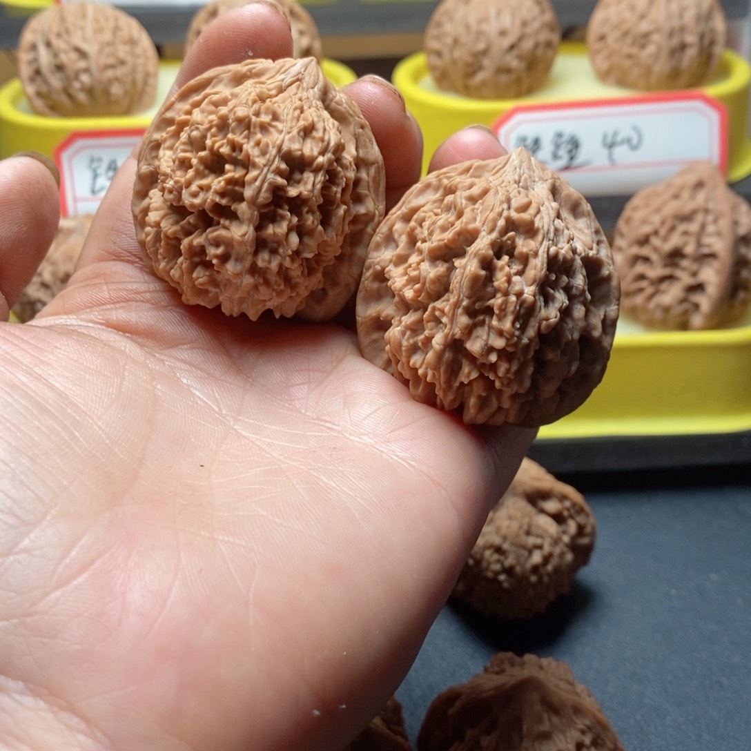 41全品无修满天星