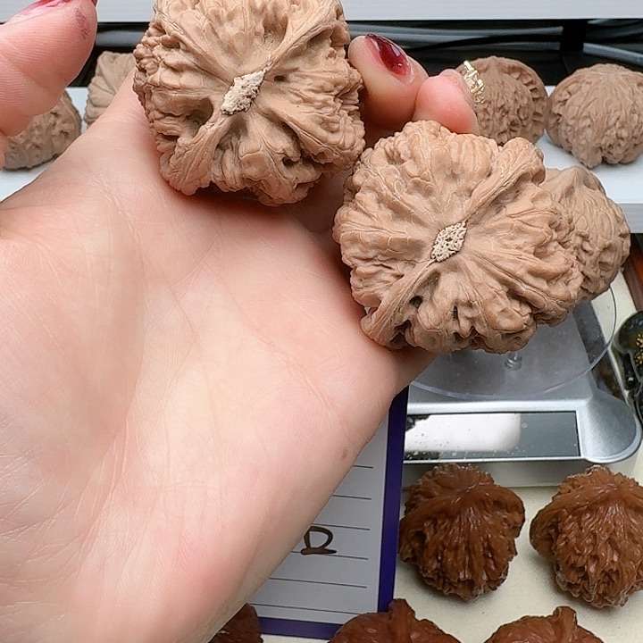 文玩核桃吊坠48全品球筋