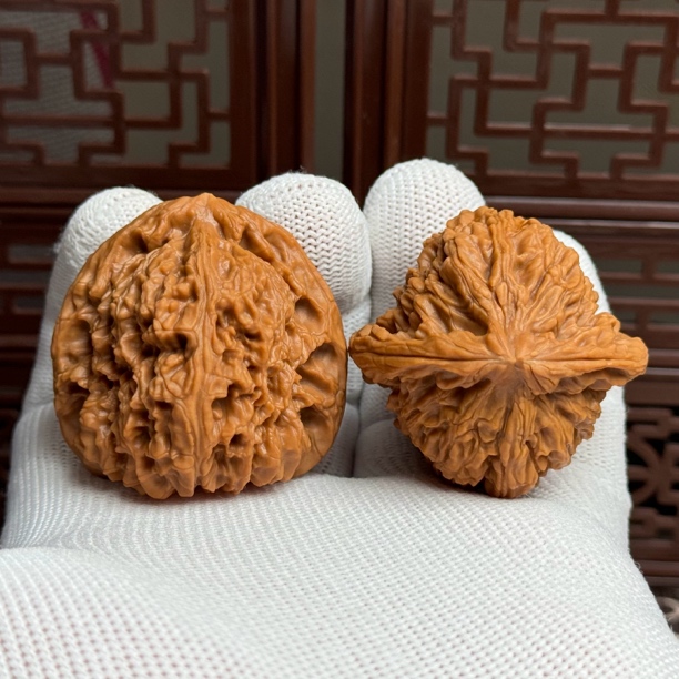 精选一代老树南疆石狮子头，边42肚42高41，山地果骨质好克重足全品