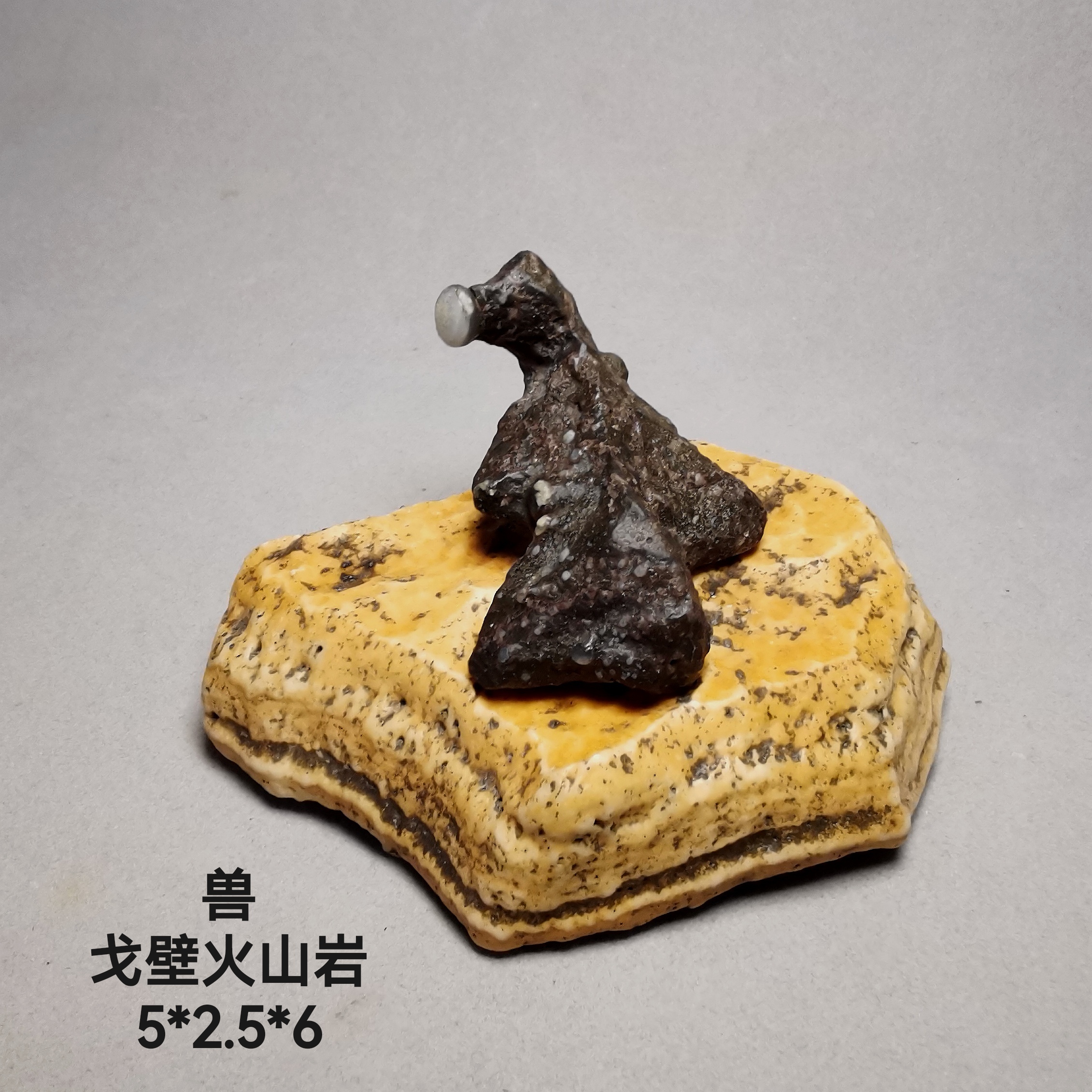 【兽】戈壁火山岩造型石。