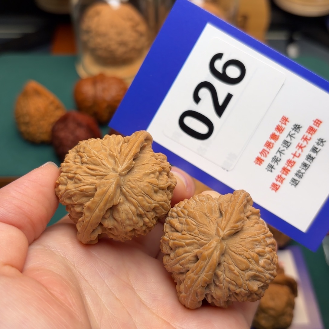 文玩核桃把件忘*．白狮子41