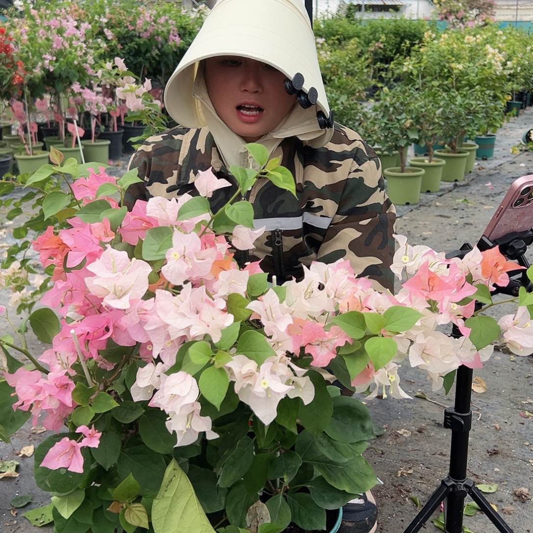 当前无花栽培后可以开花橙口红一棵