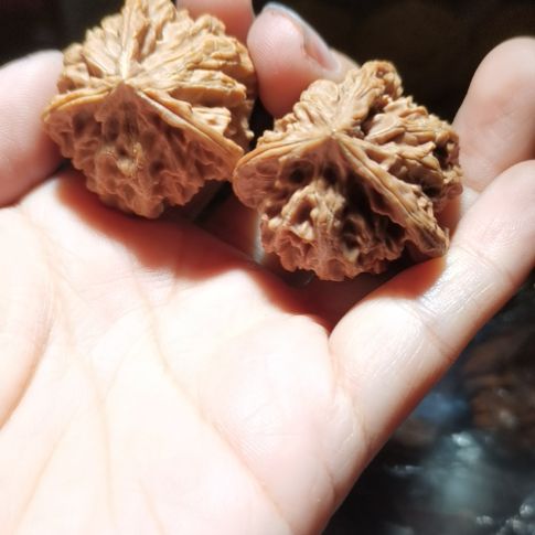 猴头核桃吊坠34三棱