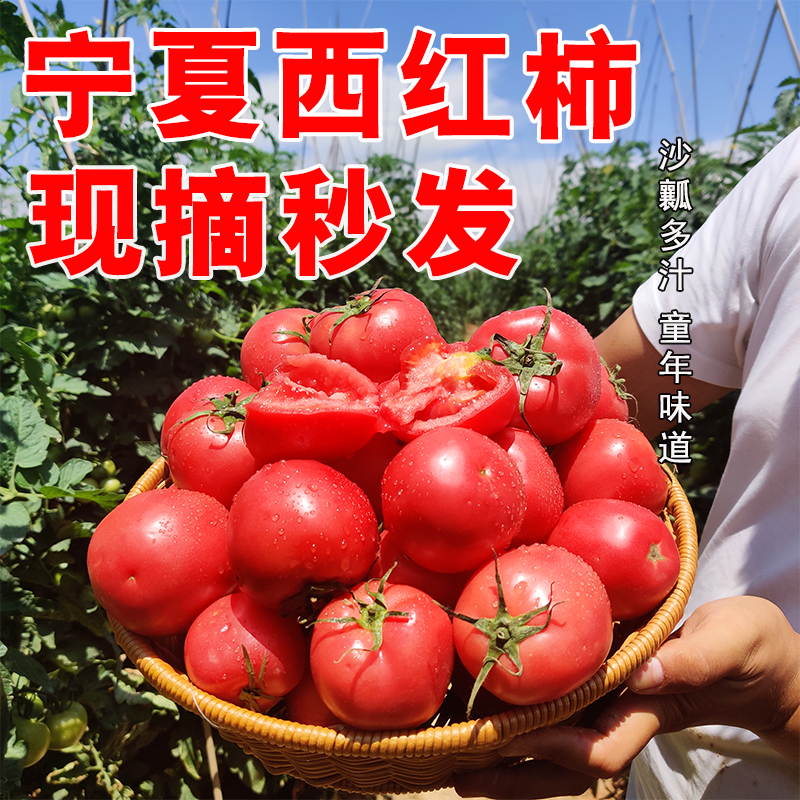 【直播特价】宁夏128口感番茄露天沙漠西红柿
