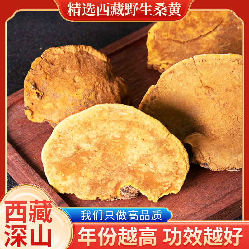 西藏桑黄整朵发货切片原生态滋补佳品50克 拍2发3拍3发5