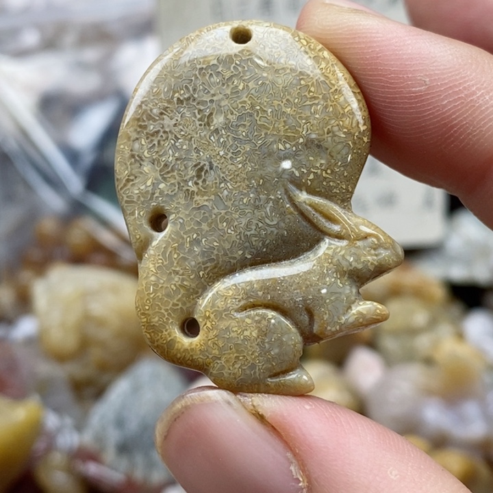 硅化珊瑚（珊瑚玉）未镶嵌颈饰