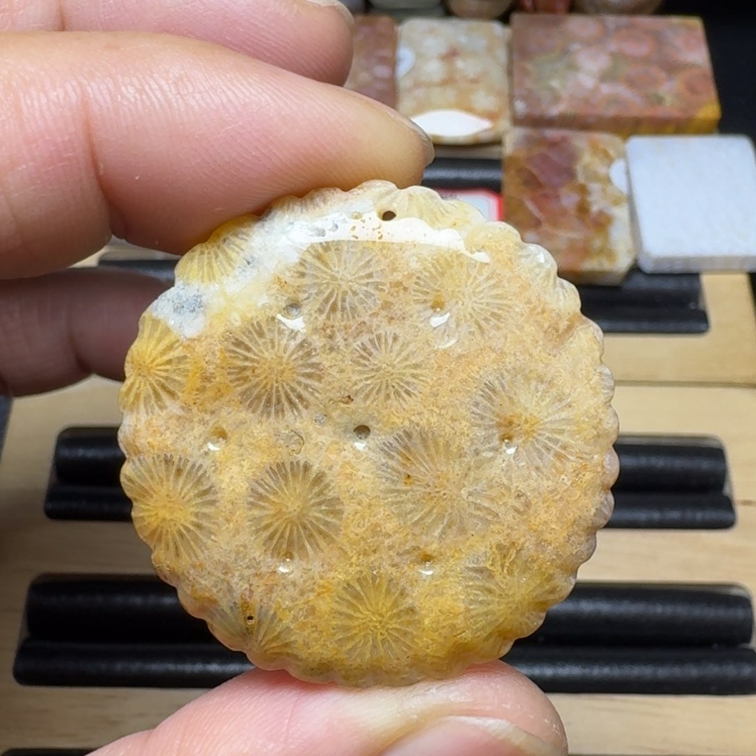 硅化玉纯天然色有机玉石未镶嵌饼干