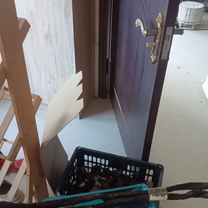 中国大陆锁和肉苁蓉865克