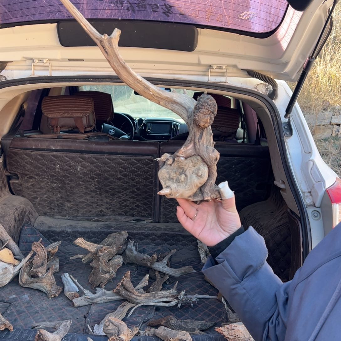 柏木（崖柏）添****店