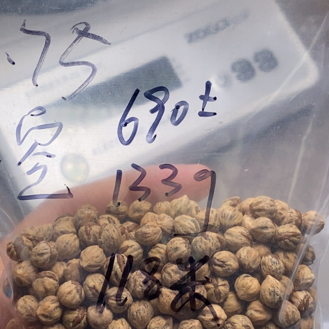 柏香籽/百香籽吊坠天**名