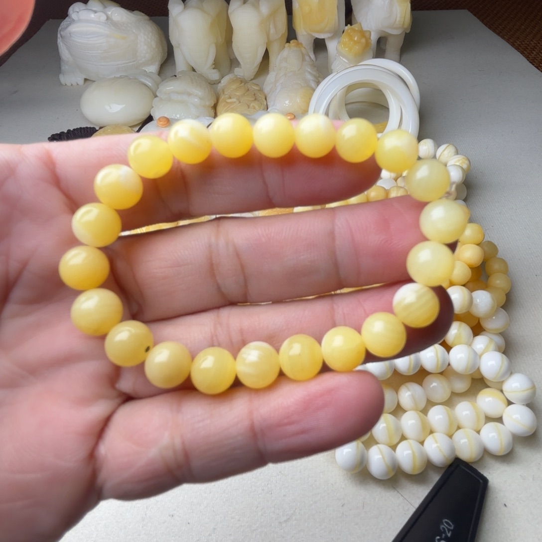 非金属贝壳天然贝壳卡8