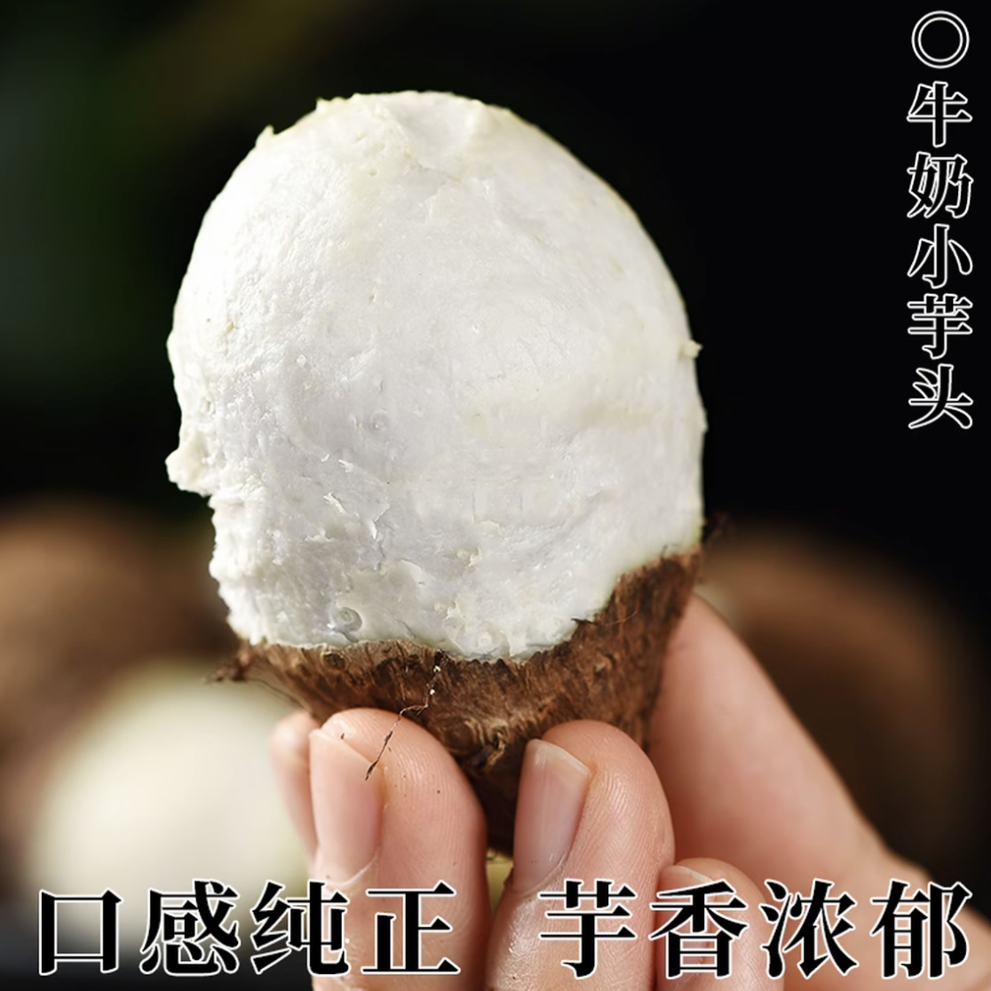农家牛奶芋头新鲜现挖香芋芋艿应季蔬菜产地直发自种软糯香甜