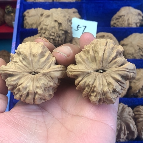 把件文玩核桃没****哥57尺大龙ding