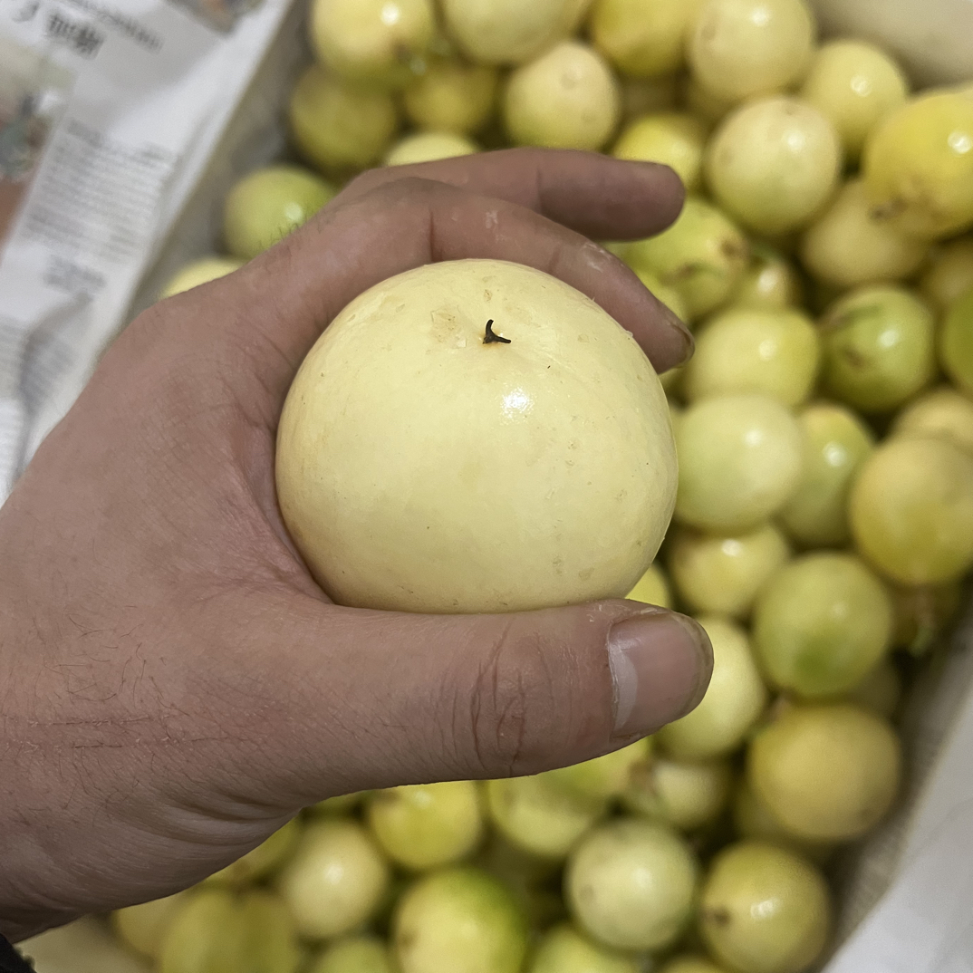 黄金百香果（大果）