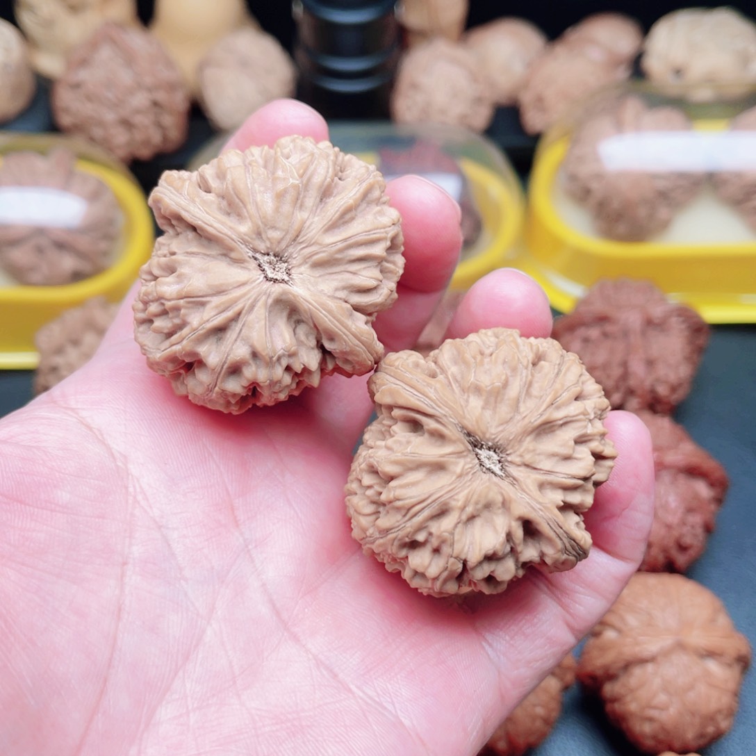 文玩核桃把件水龙纹42×43×41