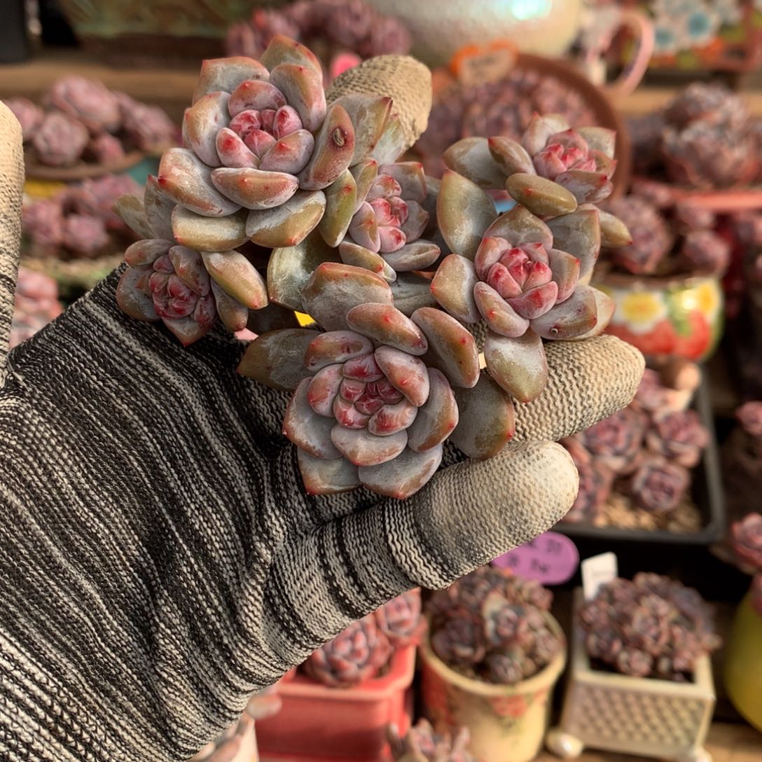 哈哈哈哈哈哈哈哈2