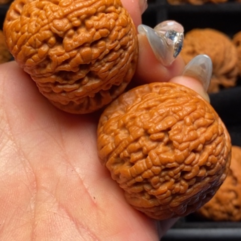 文玩核桃吊坠秦岭山脉核桃