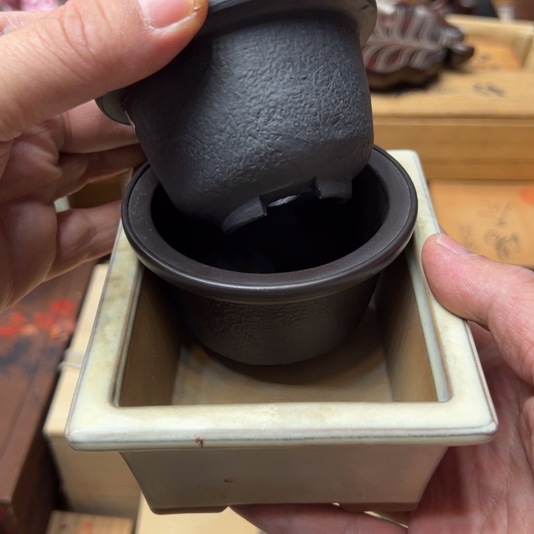 瓷片一定要看好下单