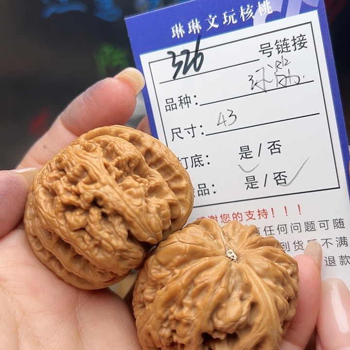 文玩核桃吊坠核桃树等326
