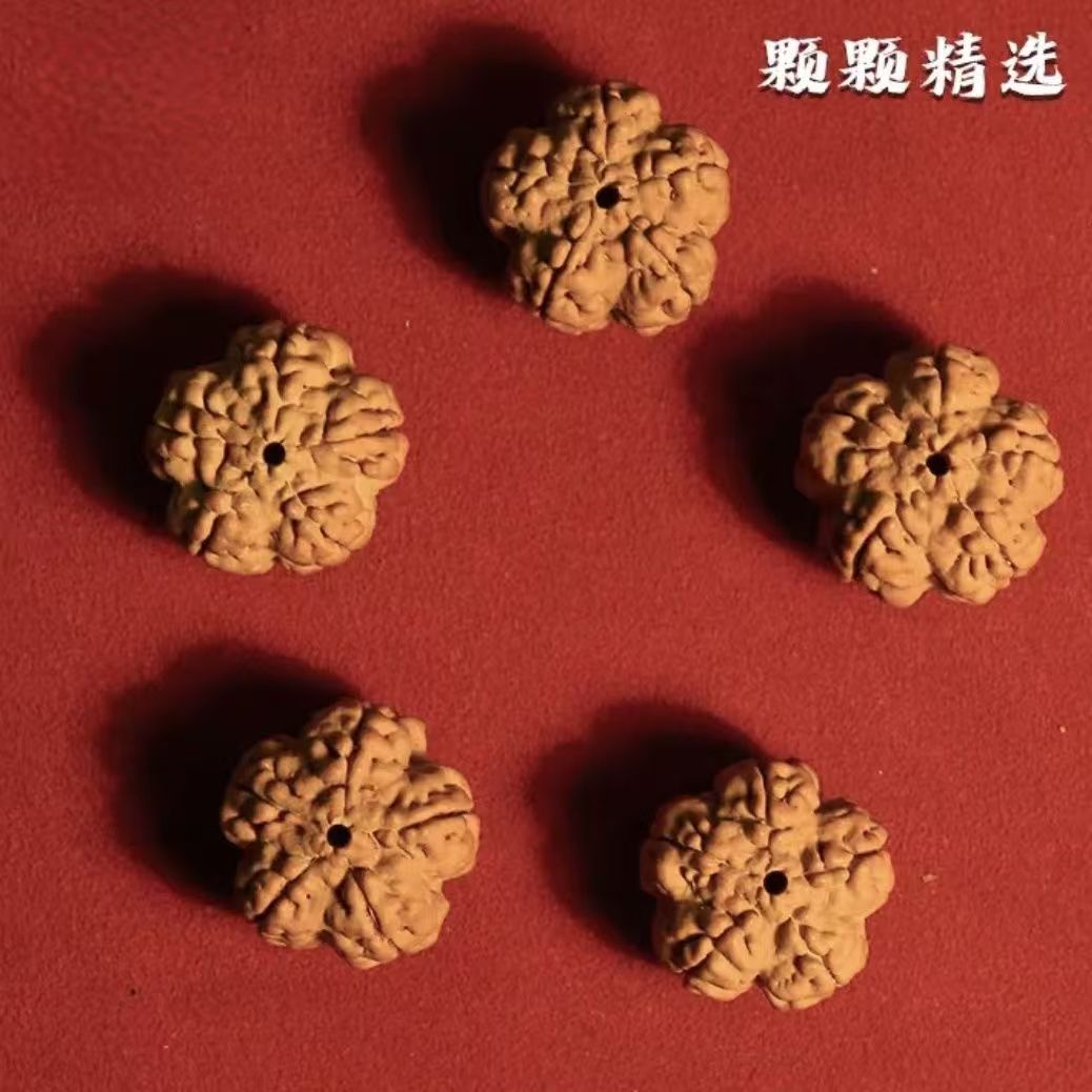 爆肉帝王花手持小金刚