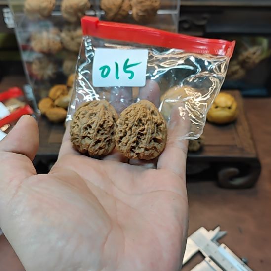 15中文水龙纹啊啊啊啊啊