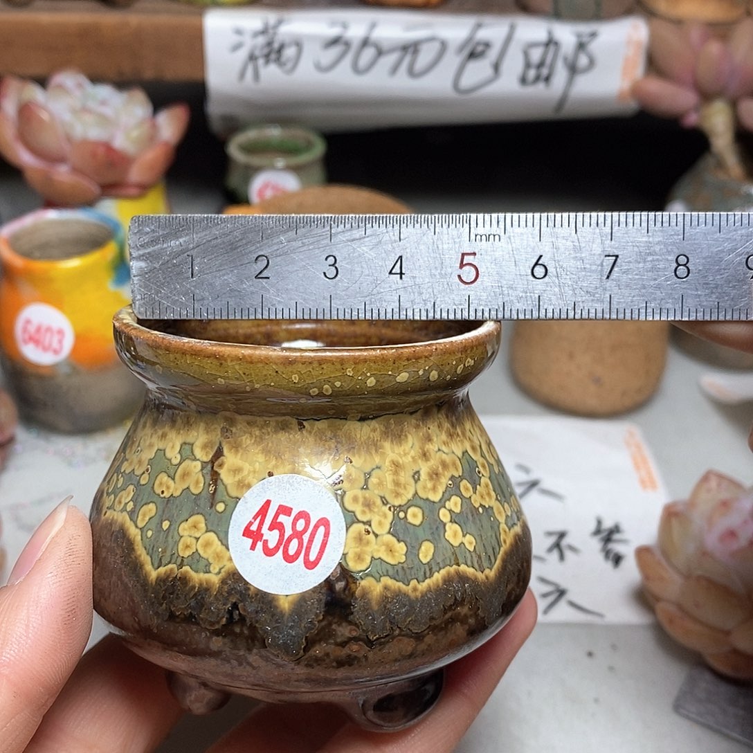 红陶拍5送一个小