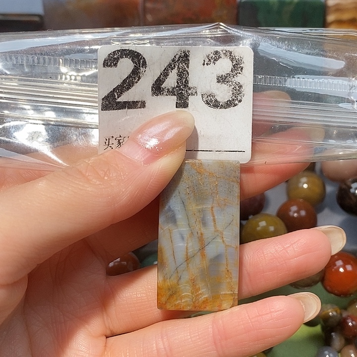 硅化玉未镶嵌天然北票树化玉吊坠