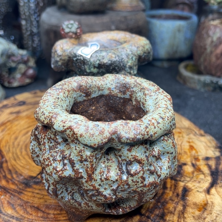 东***曦陶瓷制品不退不换