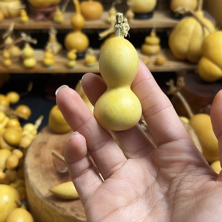 *****葫芦葫芦葫芦葫芦