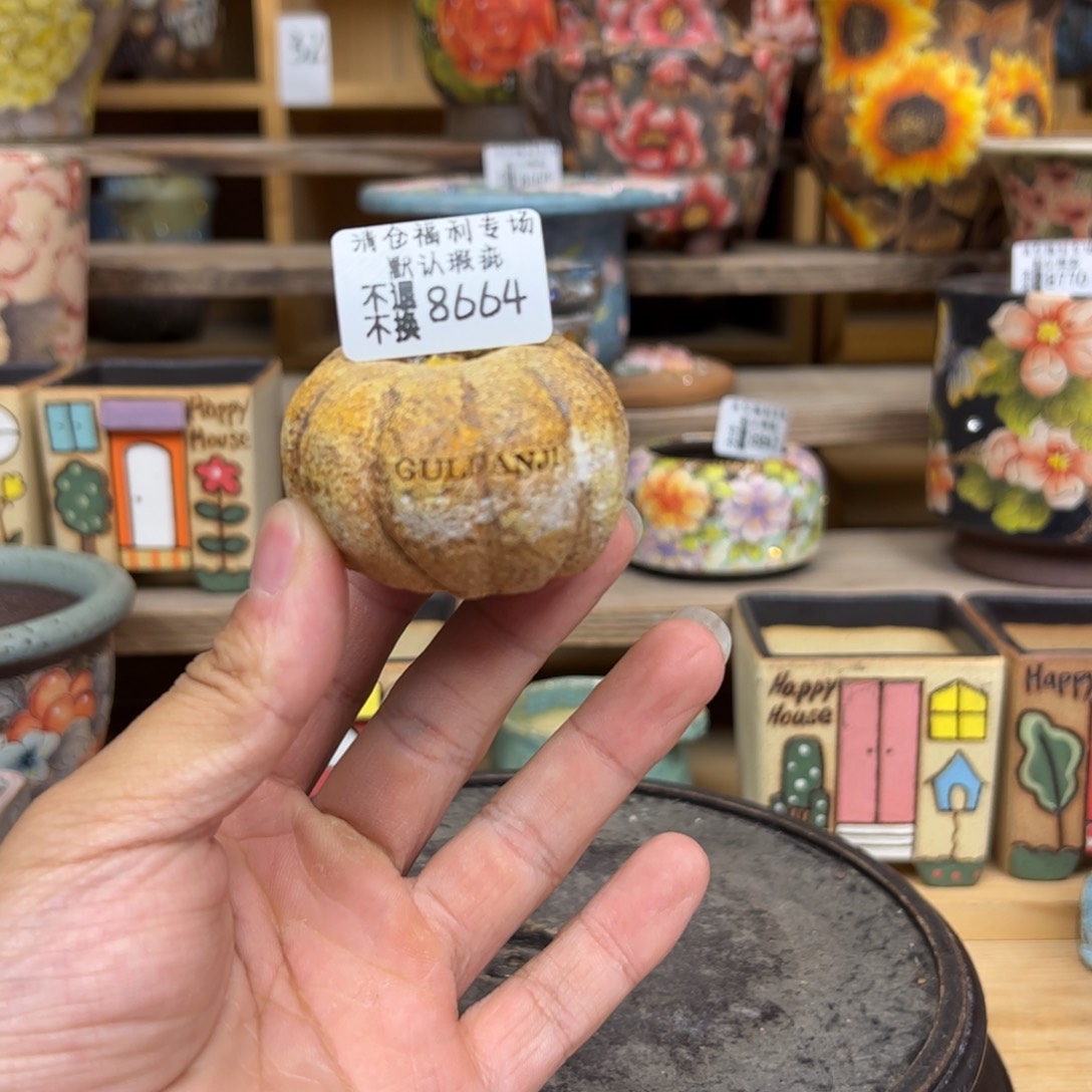 i***…8664福利美盆lailo