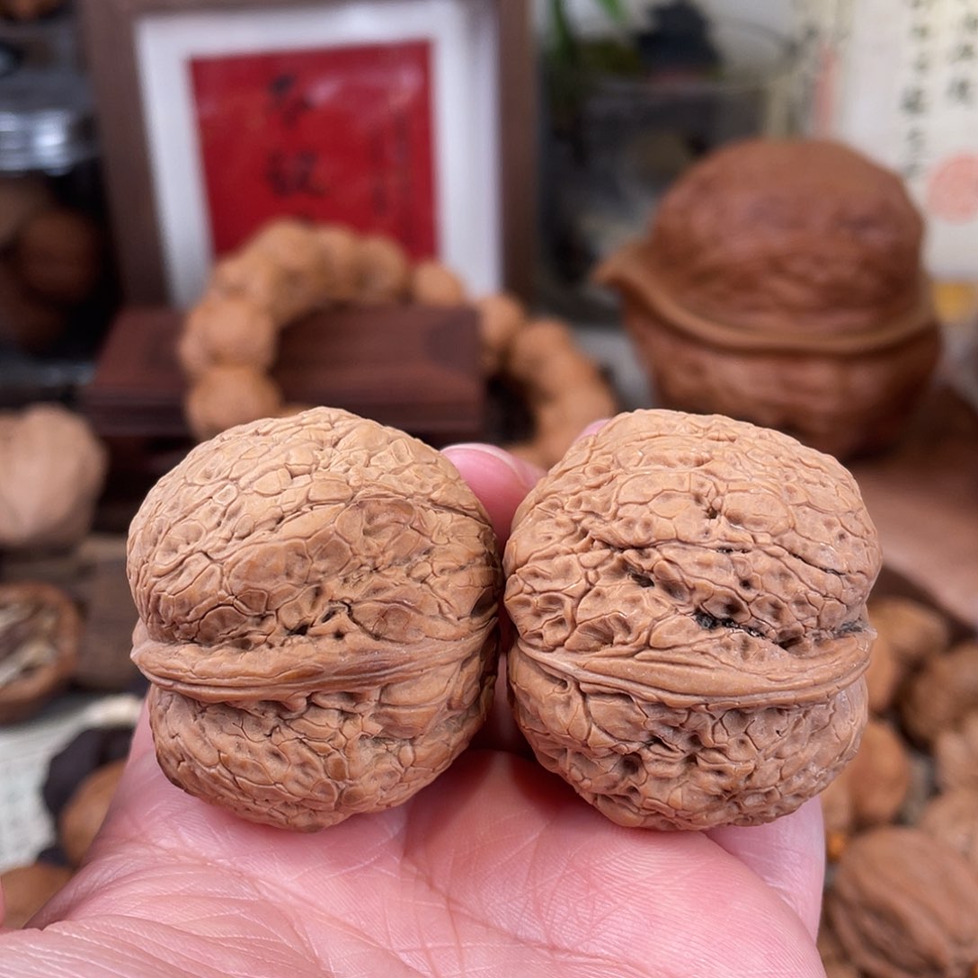 文玩核桃把件福利古树九龙纹元宝40尺（克差 3.5）