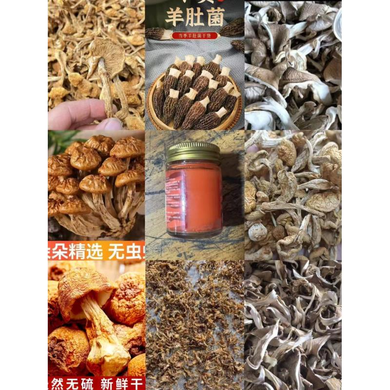 FD63 【劳胡高】高端品质   香菇菌子   现收山货