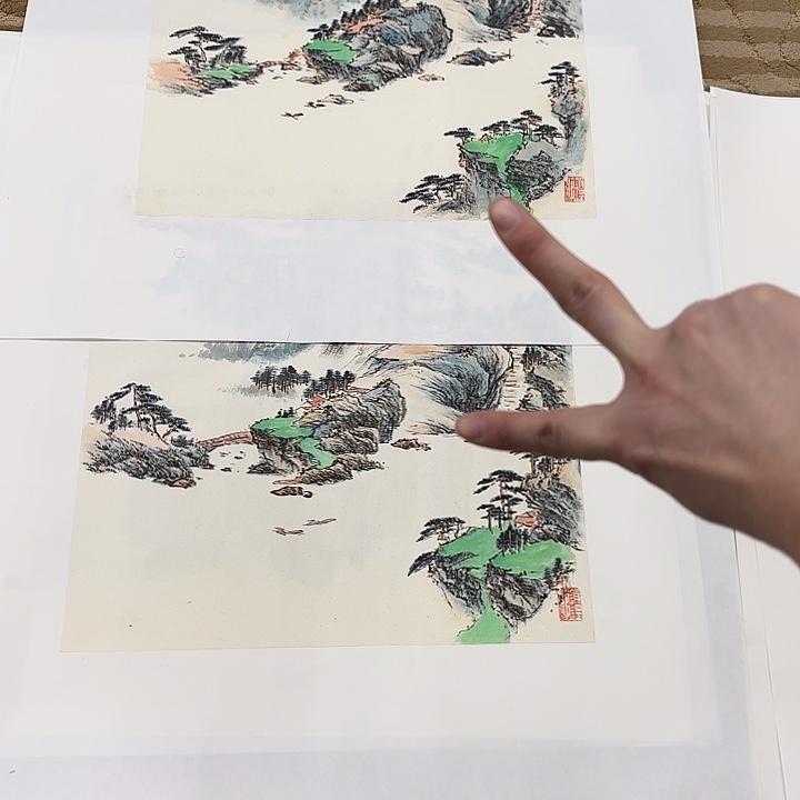 国画烊*花鸟的翅膀是白色和白色