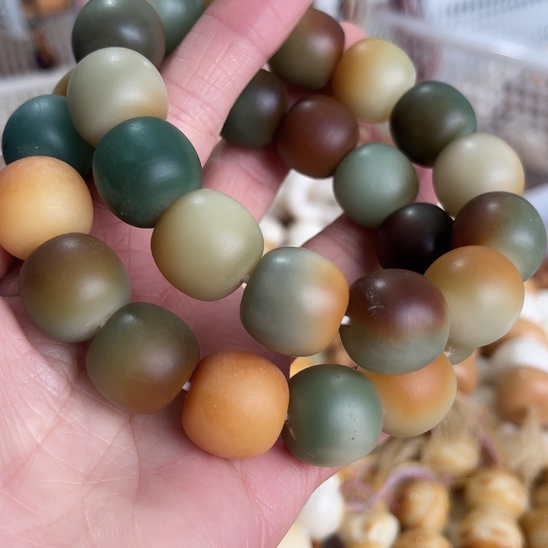 菩提根/象牙果手串菩提根桶珠