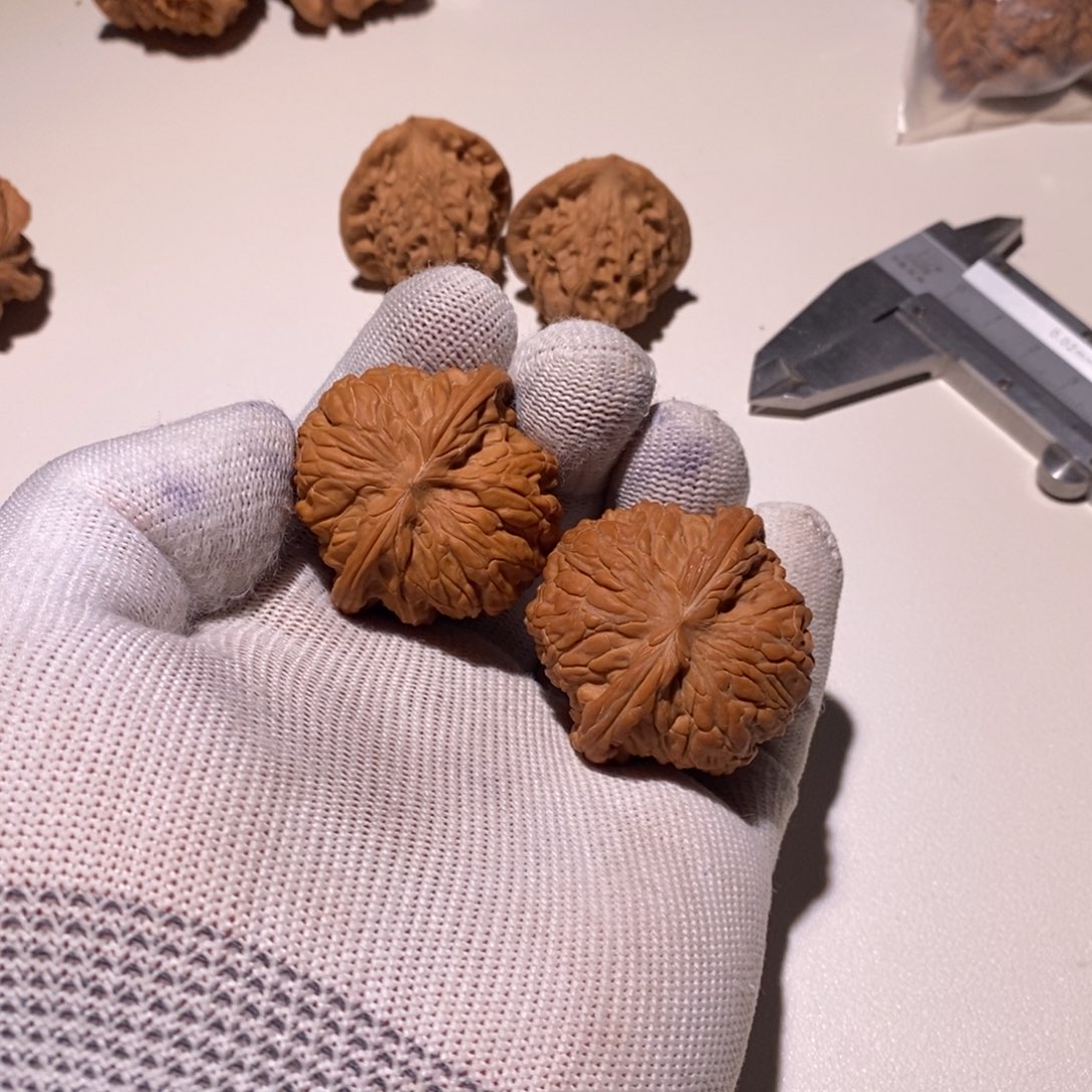 贺***杨核桃磨盘狮子头40尺寸