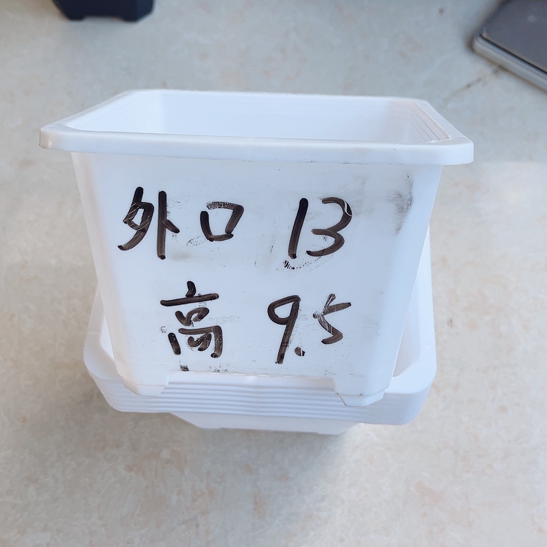 塑料福利款13方白色盆20个无托