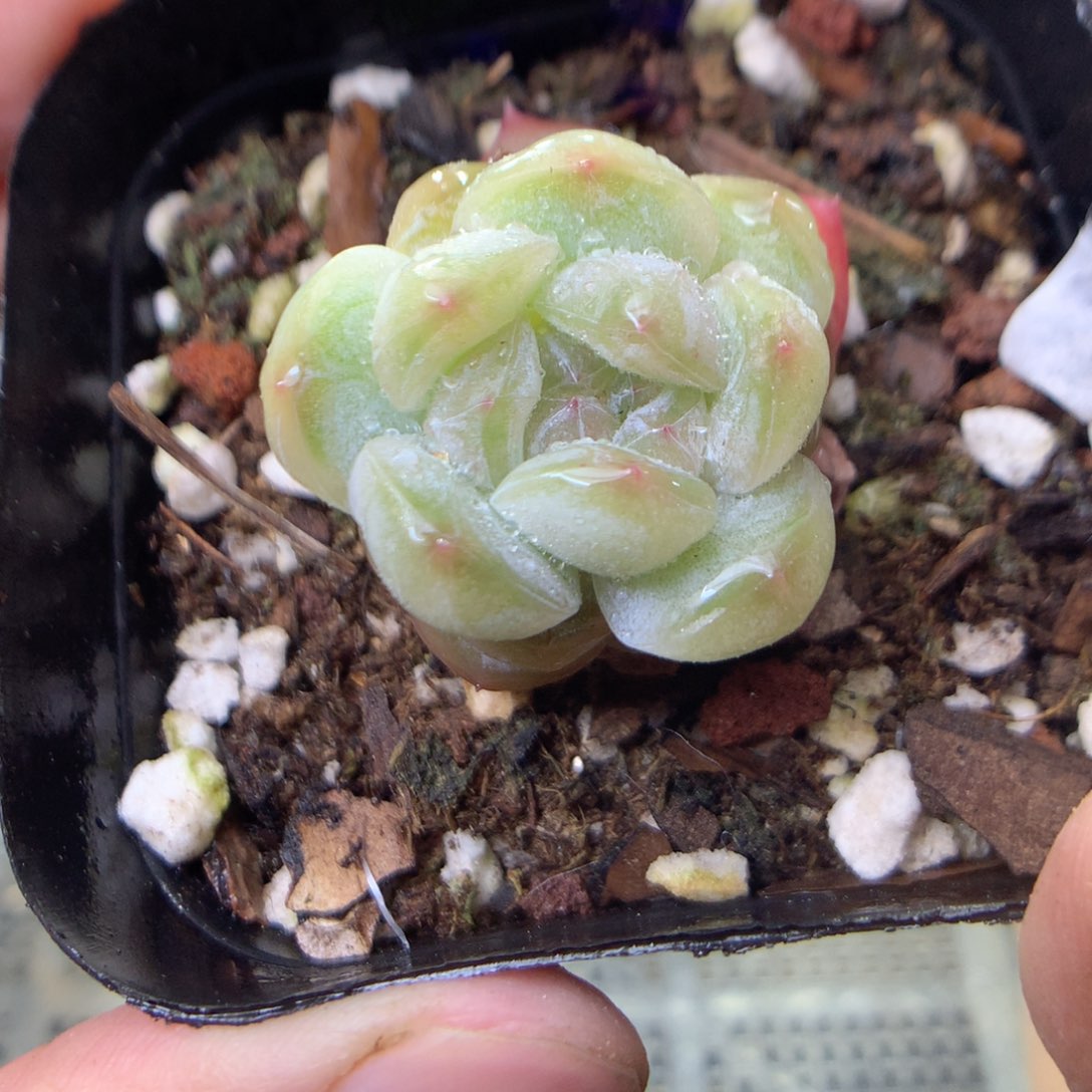 F138y y y y y y y y y y y y