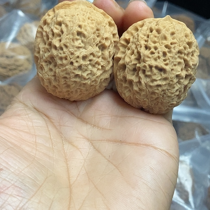木质类云南铁核桃+100