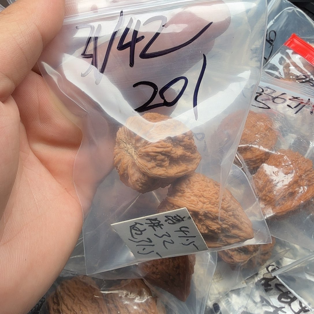 吊坠桃核福利塔尖核桃20