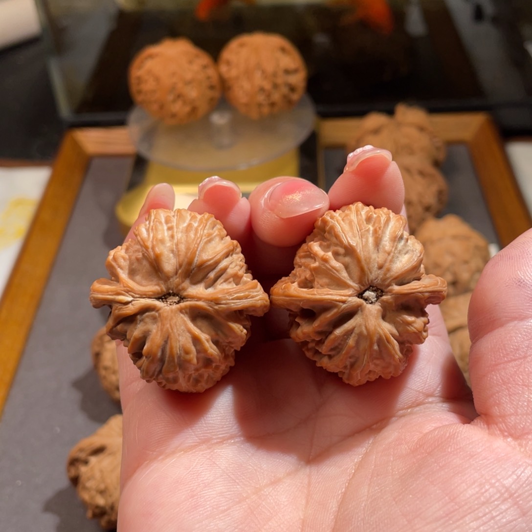 文玩核桃吊坠冬***吗35.5白狮子